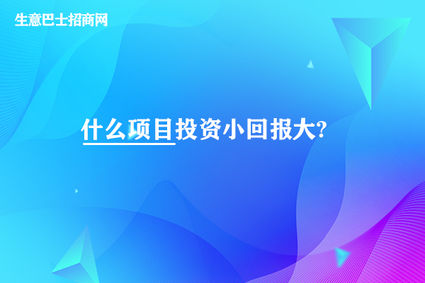 什么投資小回報大的項目?